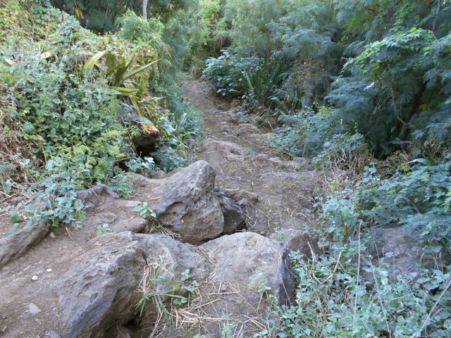 Certaines parties du sentier sont très rocheuses