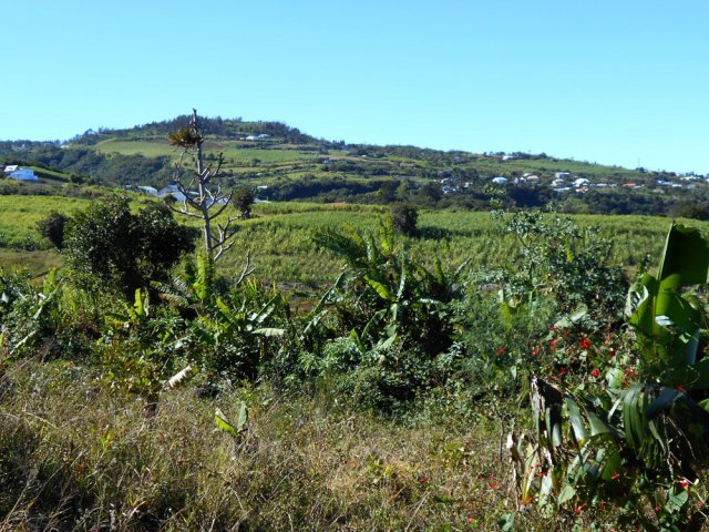 Point de vue sur le village de l'Entre Deux