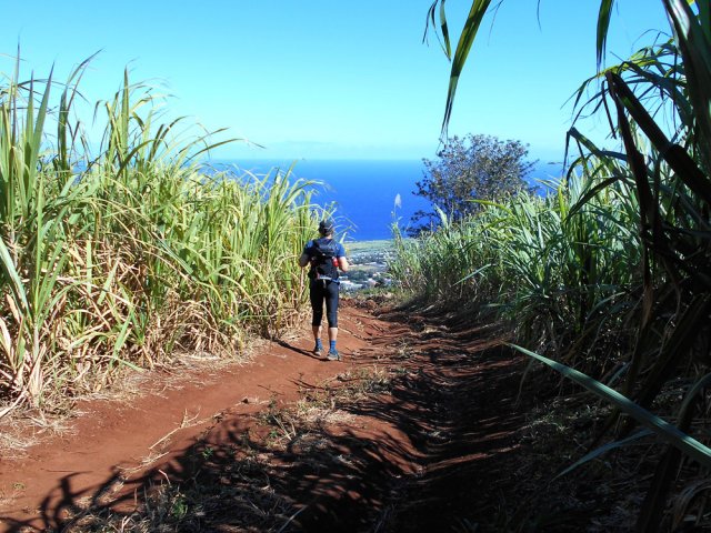 Et c'est reparti pour les pistes dans les cannes
