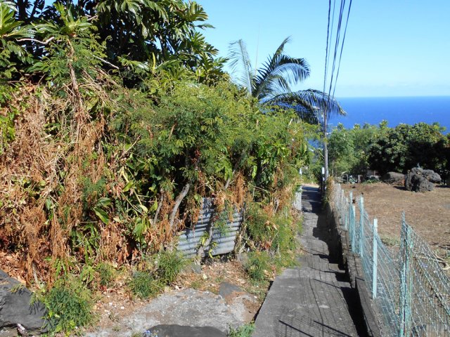 Un raccourci du Butor évite un grand virage de la route