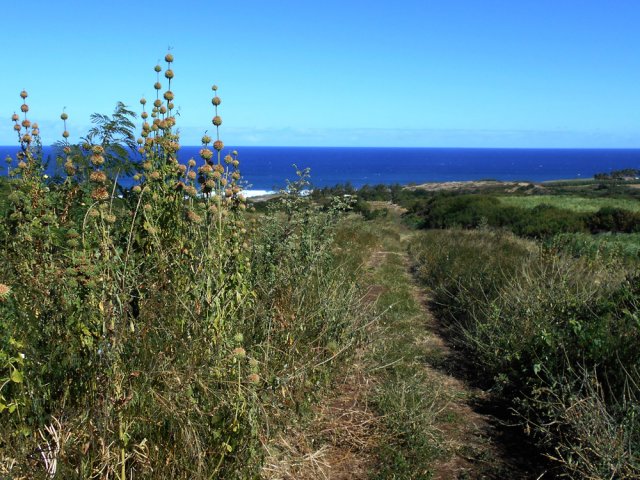 Descente sur une des pistes parallèle à celle utilisée en début de boucle