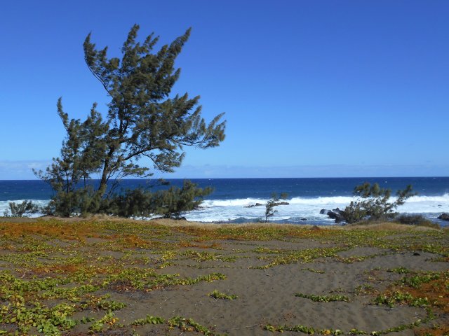 La partie sableuse entre la Ravine Lebon et la Ravine des Sables