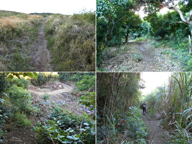 Quelques autres portions de ce long sentier tout en montée