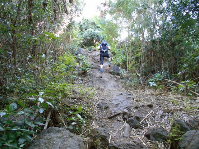 Une idée de ce que les VTT subissent dans la descente