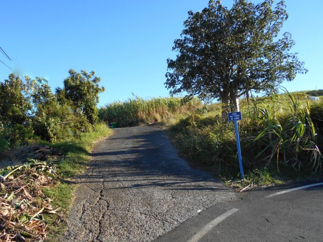 Au 5ème lacet après le Plateau, prendre l'Allée des Fleurs de Canne