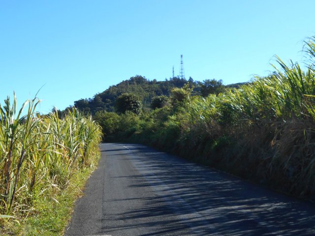 Le Chemin Carlonnette, en montée constante vers le Plate avec vue sur le Piton