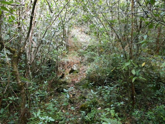 A 1220 m, le sentier de gauche se termine très vite à une borne