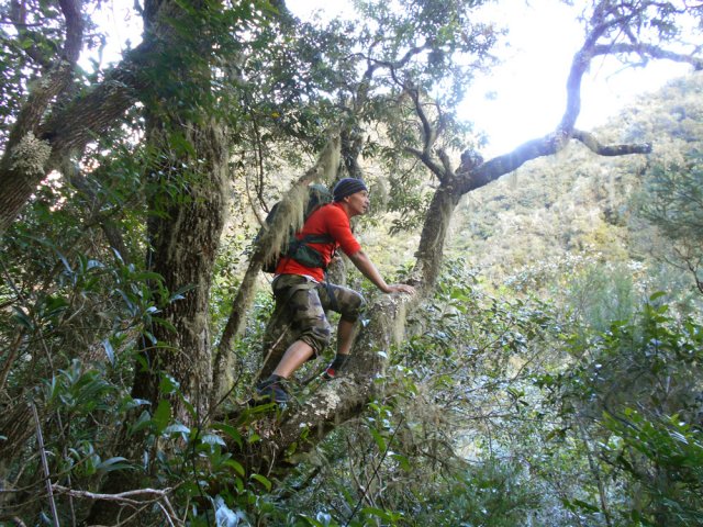 Même en hauteur, impossible d'apercevoir un sentier