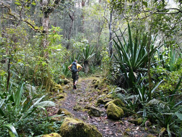 Sentier des Calumets, fraîchement nettoyé et plat