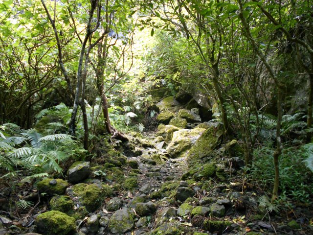 Après le gué, le sentier est beaucoup plus caillouteux