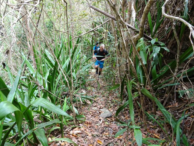 Le sentier est toujours bien marqué et se suit sans hésitation