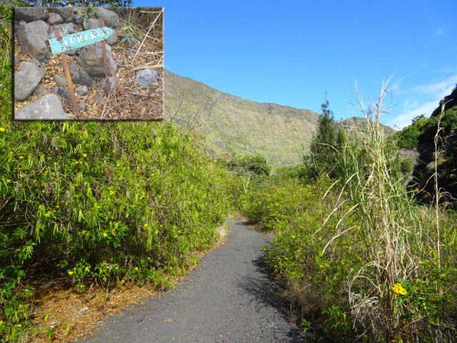 La piste de Deux Bras vers le barrage sur le Bras de Sainte-Suzanne
