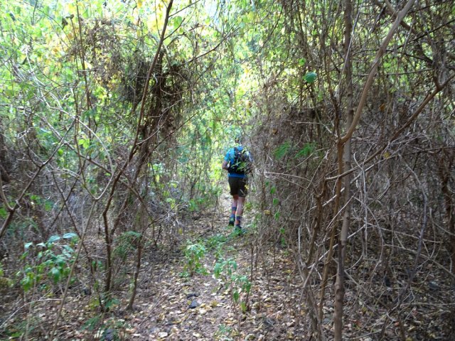 L'ancienne piste créée pour les travaux du barrage est réduite à l'état de sentier