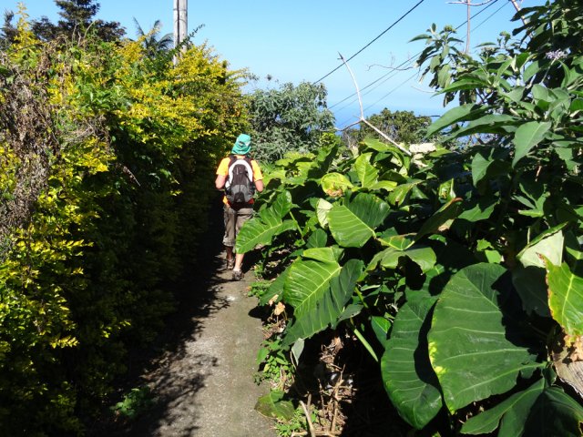 Une portion particulièrement agréable