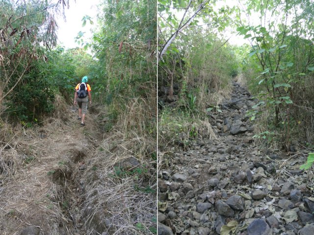 Ce sentier, connu seulement des pêcheurs du coin, longe souvent la Ravine des Avirons