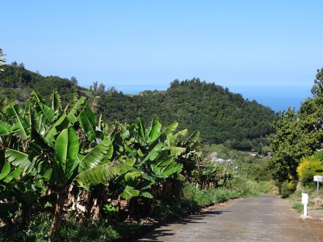 Le Piton Rouge depuis le Chemin des Jamblons