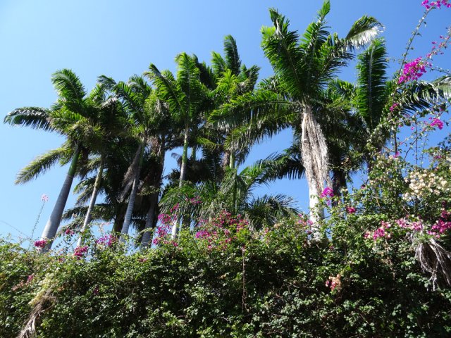 Certaines demeures sont entourées de somptueux jardins