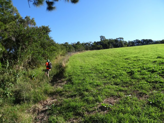 Ne marcher dans la prairie que lorsque la piste disparaît sur 100 m