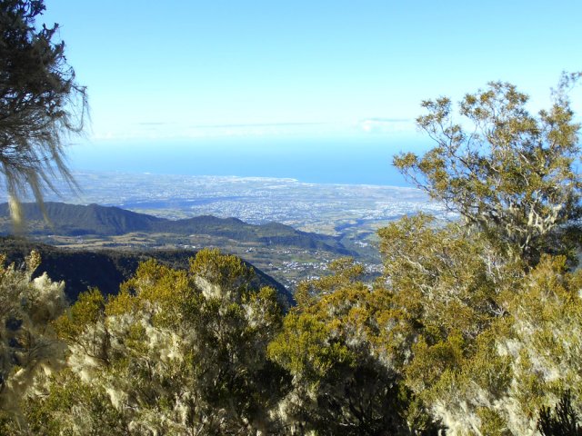 Le panorama englobe la Chaîne du Bois de Nèfles