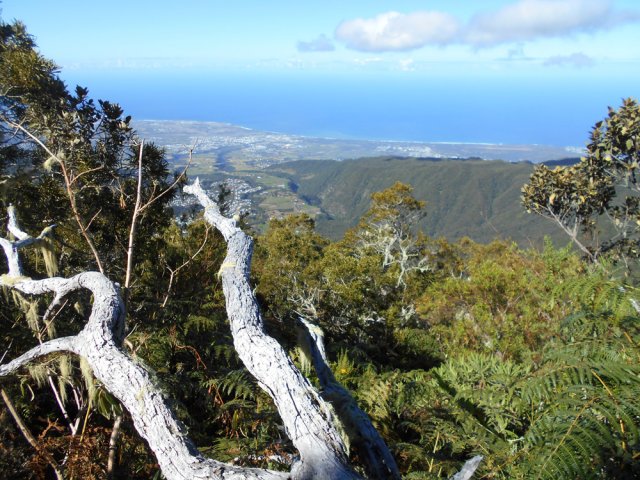 La vallée de la Ravine de Bellevue