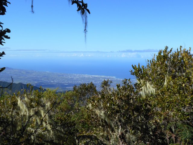 Les trouées sont rares et les points de vue magnifiques sur Saint-Louis