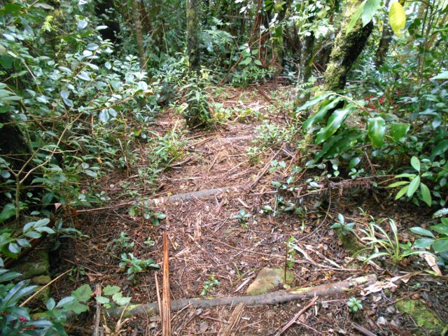 Peu de pentes donc peu de marches