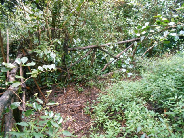 Des traces encore visibles de rambardes, inutiles mais décoratives