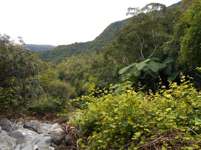 Suivre la ravine du Saut de la Vierge sans se poser de questions