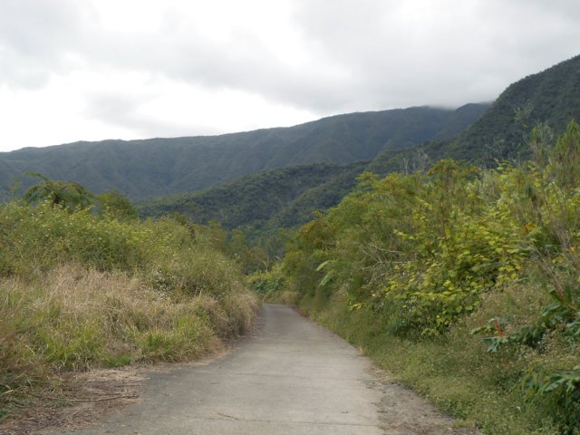 La Route Forestière des Goyaves, au début, est correctement revêtue