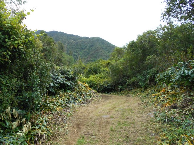 Ne pas prendre la piste car elle est privée