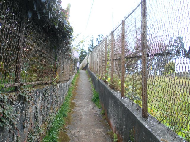 Repérer plus haut, sur la gauche le beau salon de coiffure