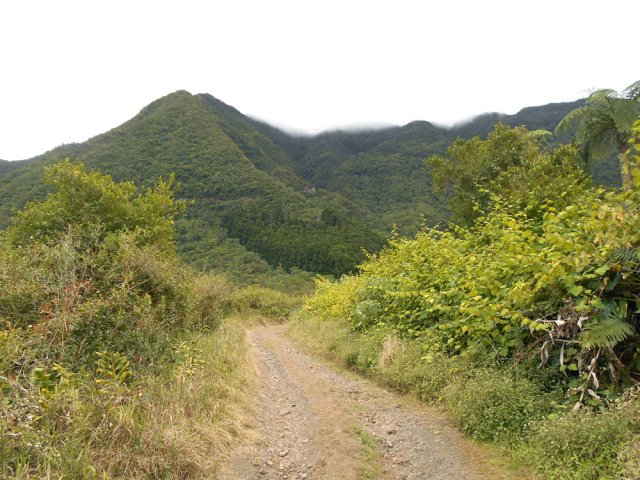 Elle se poursuit sur terre et petits cailloux