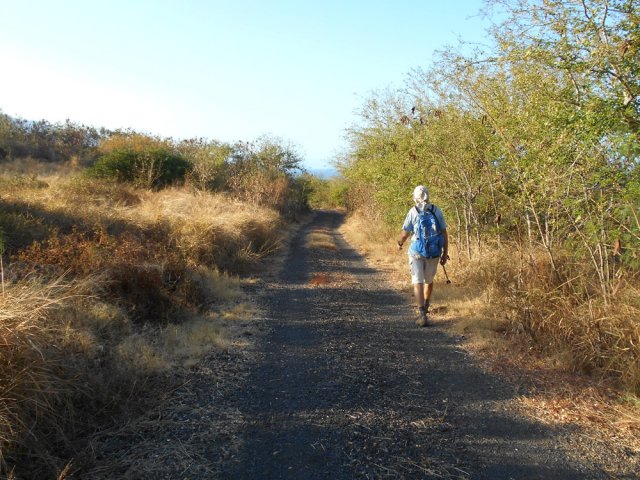 La piste en début de boucle. Déjà savane et épineux