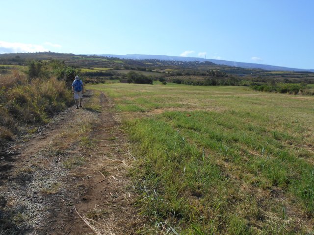 Plus haut les cultures et prairies se multiplient