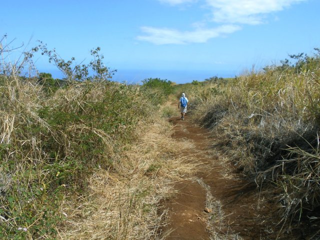 Pour le retour, privilégier les pistes dans les cultures