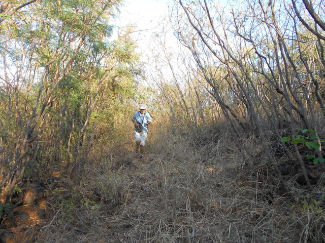 On distingue encore assez bien l'ancienne piste