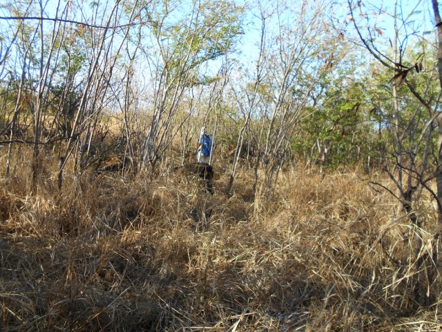 Plus loin, c'est beaucoup plus difficile mais on passe en hors sentier