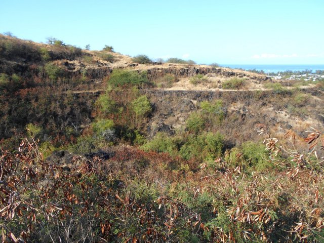 Le Chemin Bruniquel, de l'autre côté de la Ravine de l'Ermitage