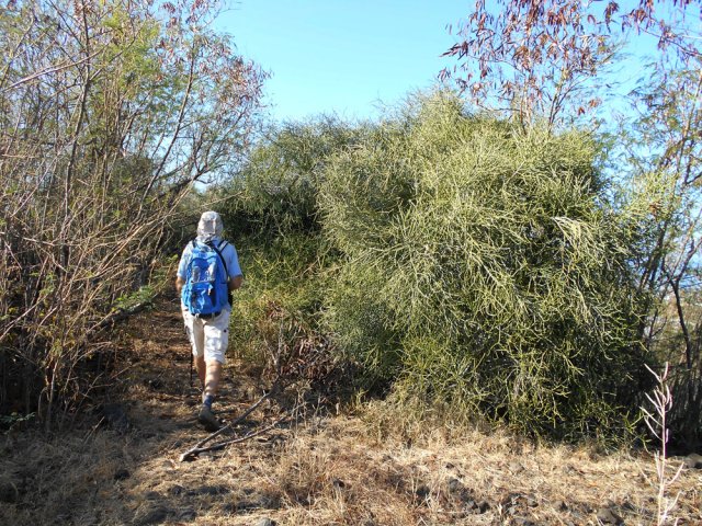 La végétation envahit mais on passe sans égratignure