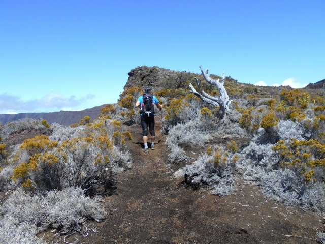 Le sentier longe au plus près le rempart