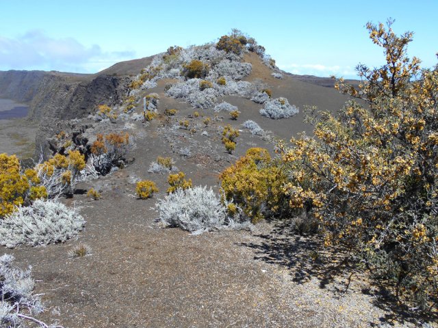 Une autre idée du paysage en bordure de rempart