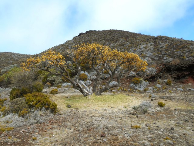 L'aire ombragée, très prisée des pique-niqueurs