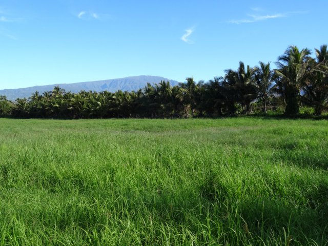 Les prairies débutent dès la fin des écoles de pilotage