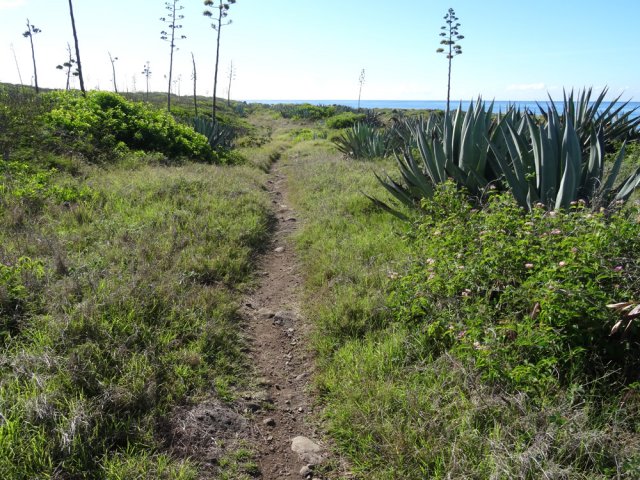 Une idée du sentier dans le même milieu