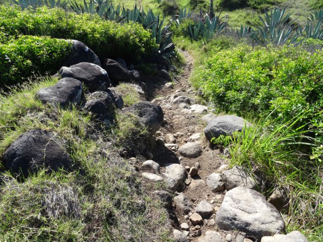 Une des rares portions du circuit à emprunter une pente