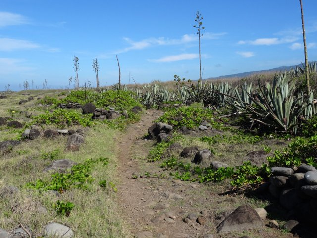 Le sentier dans les chocas