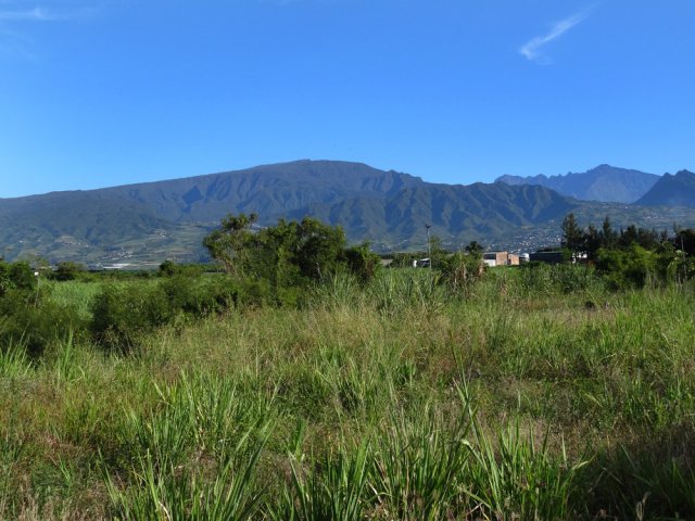Belles vues sur le Dimitile et la Chaîne du Bois de Nèfles