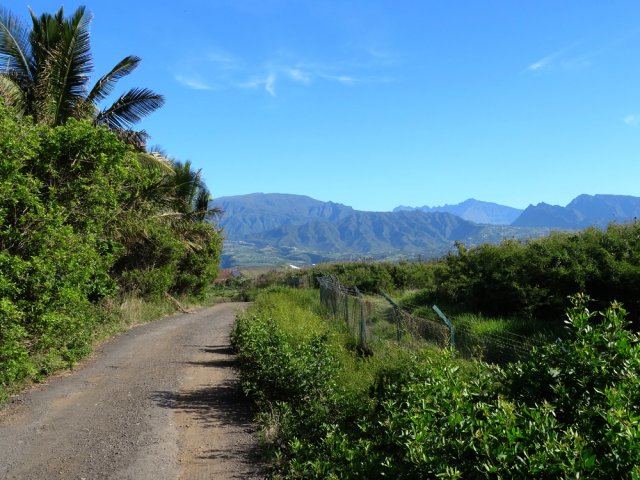La piste qui longe le littoral