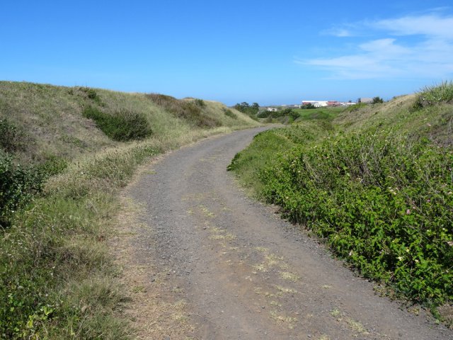 La piste qui part vers la mer