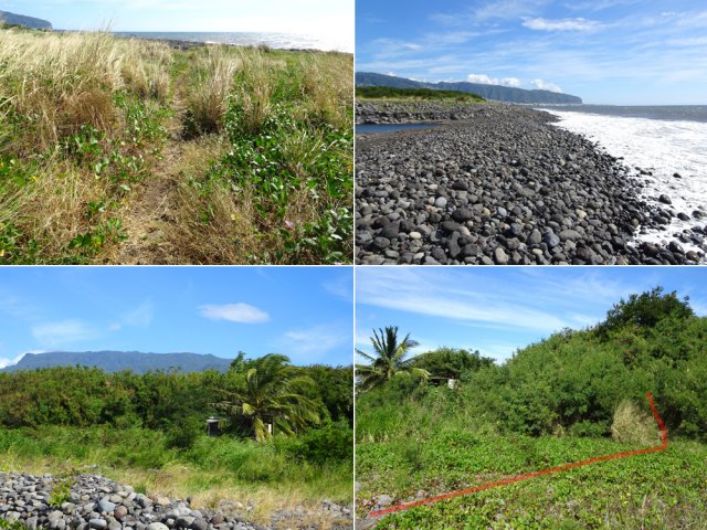 Comment traverser l'estuaire